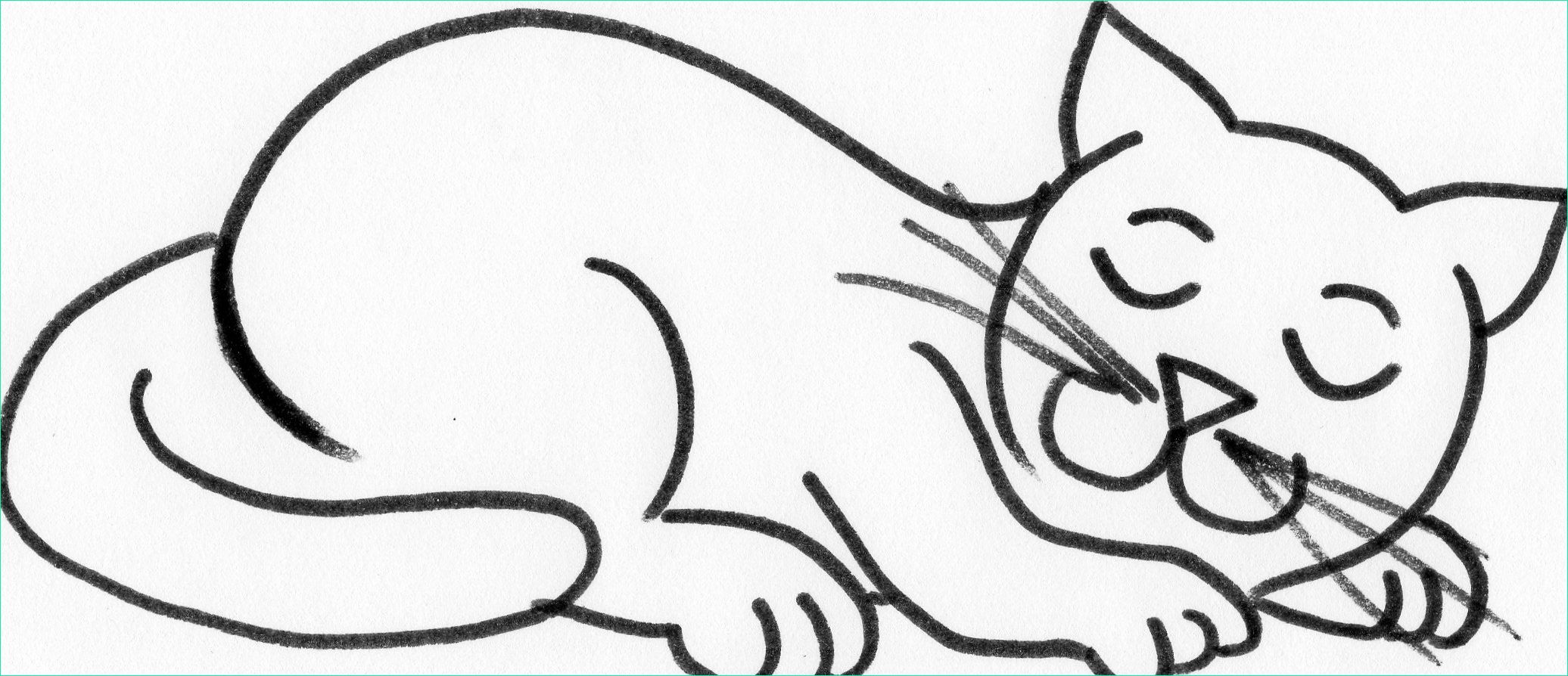 ment dessiner un chat
