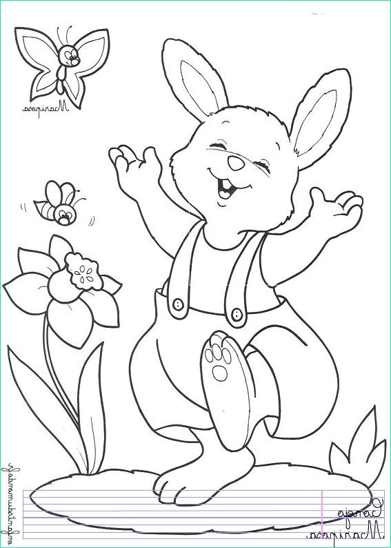 Dessin De Lapin A Imprimer Luxe Photos Lapin 1 Coloriage De Lapins Coloriages Pour Enfants