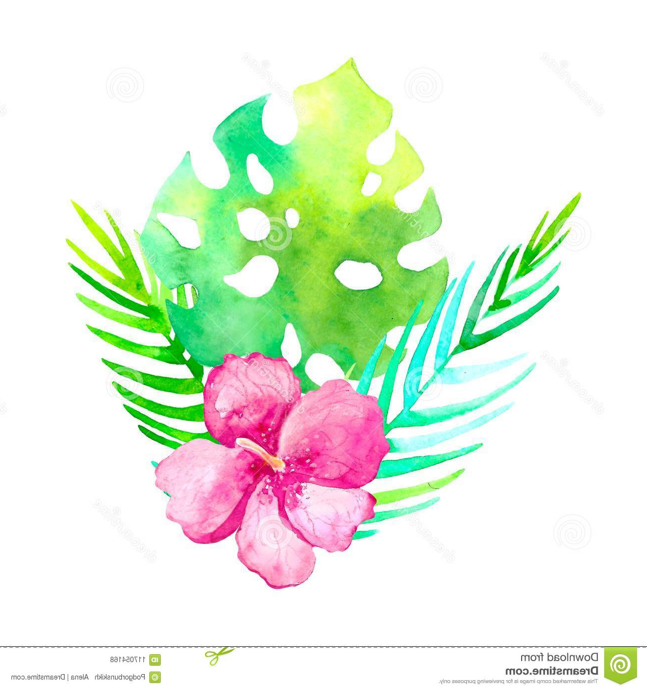 watercolor tropical bouquet traditional drawing painting aquarelle exotic flower isolated white background watercolor tropical image