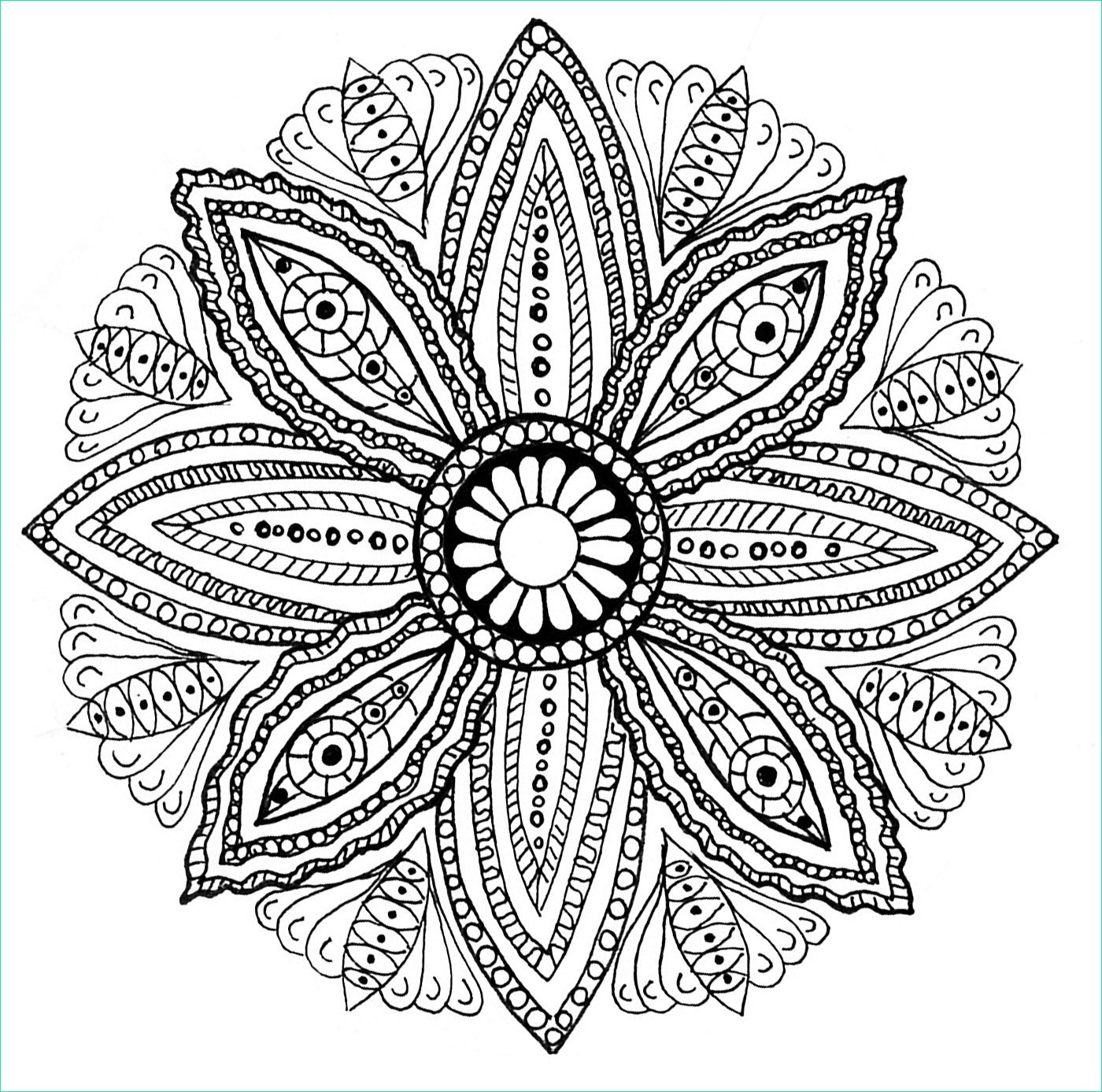 image=flowers ve ation mandala with flowers and leaves by Olivier 1
