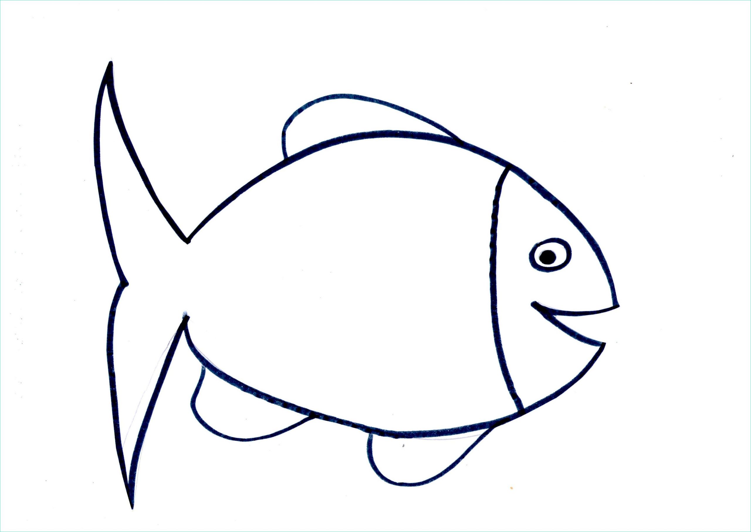 85 gabarit activite petit poisson