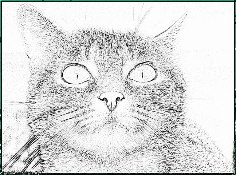 tete de chat dessin inspirant collection tete de chat dessin frais chat wikipedia coloriage