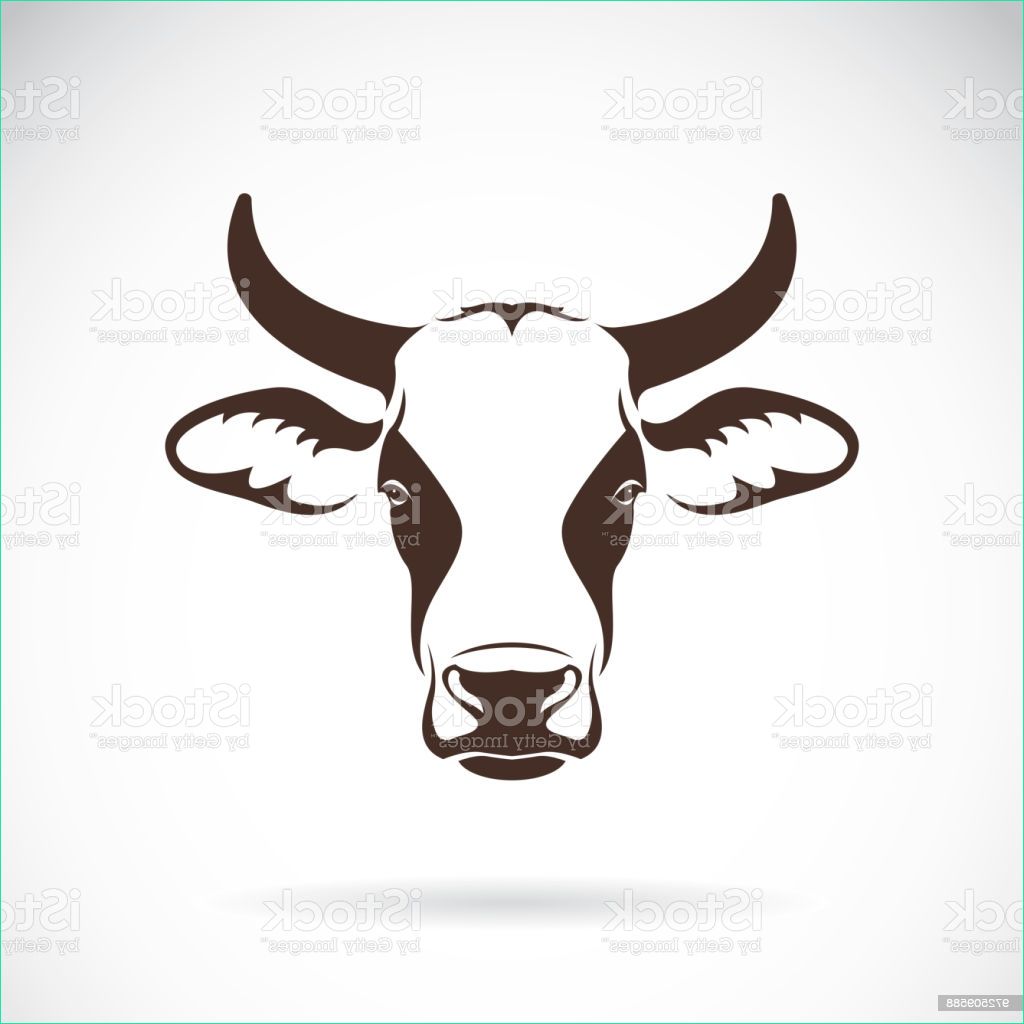 vecteur dun dessin de tête de vache sur fond blanc animaux de ferme illustration gm
