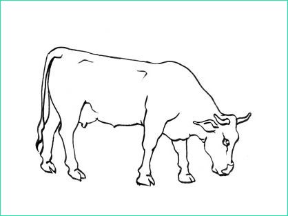 15 meilleur de dessin facile vache photographie
