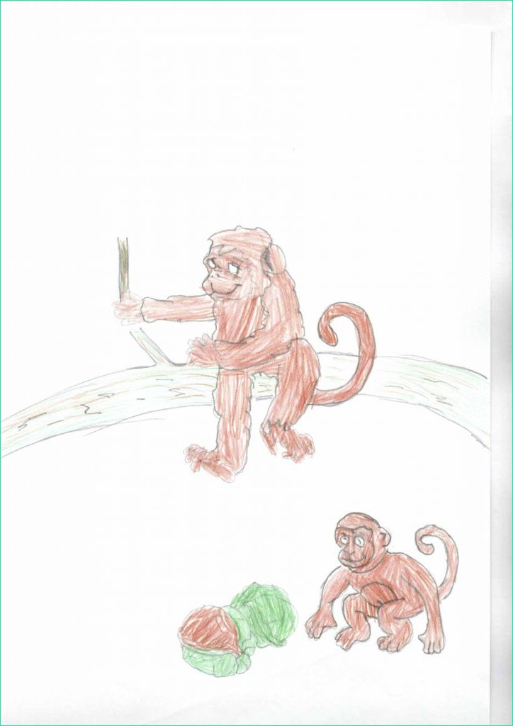 dessin de singe facile faire