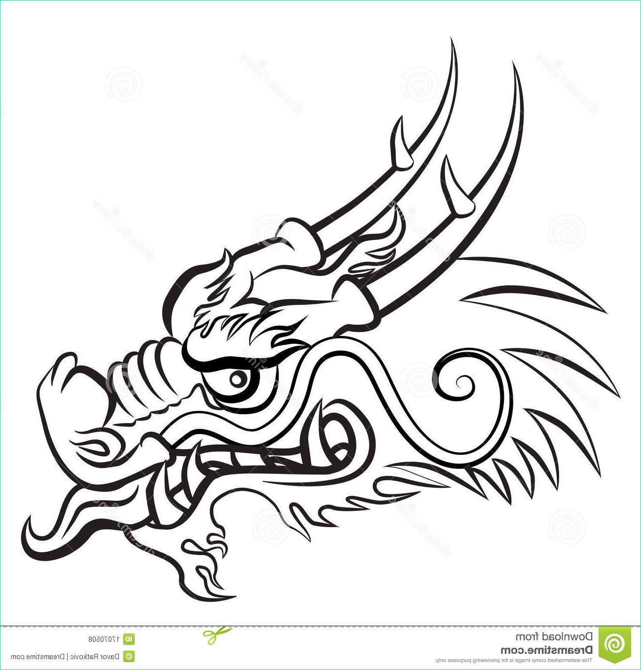 dessin facile dragon chinois
