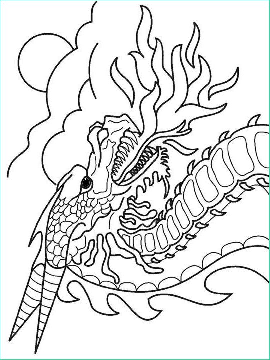 dragon chinois de feu