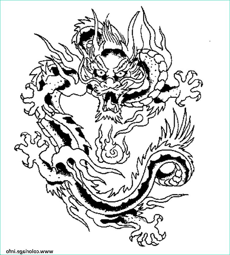 dragon chinois 6 coloriage dessin