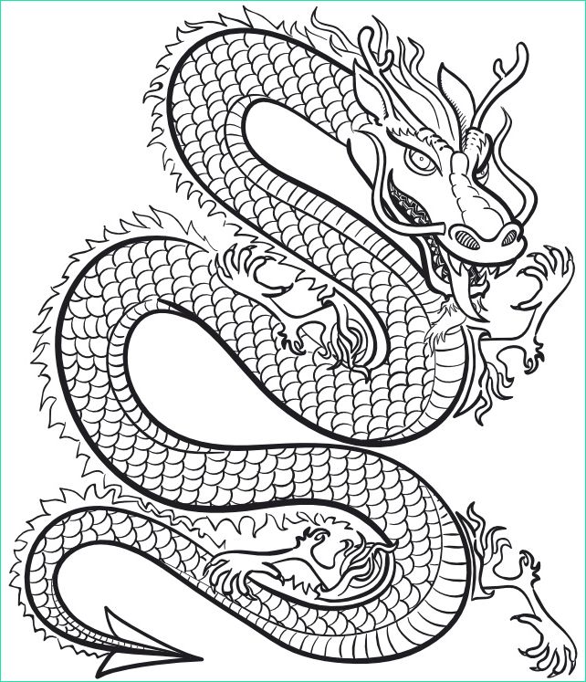 tete de dragon chinois dessin