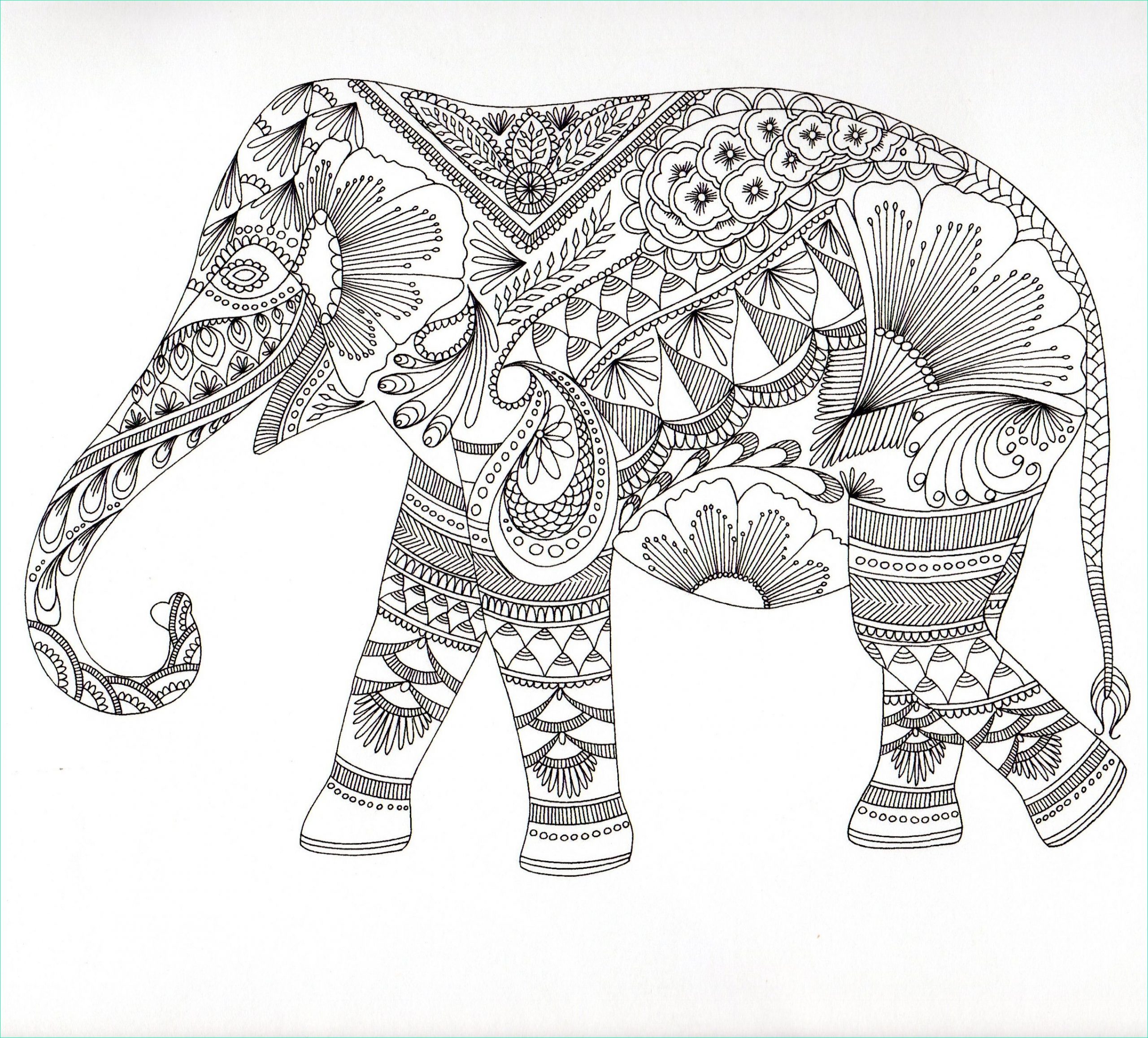 elephant mandala coloring book sketch templates