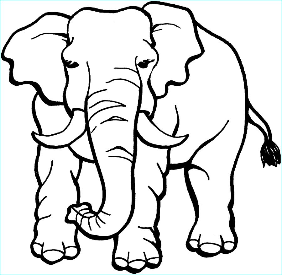 elegant coloriage elmer l elephant