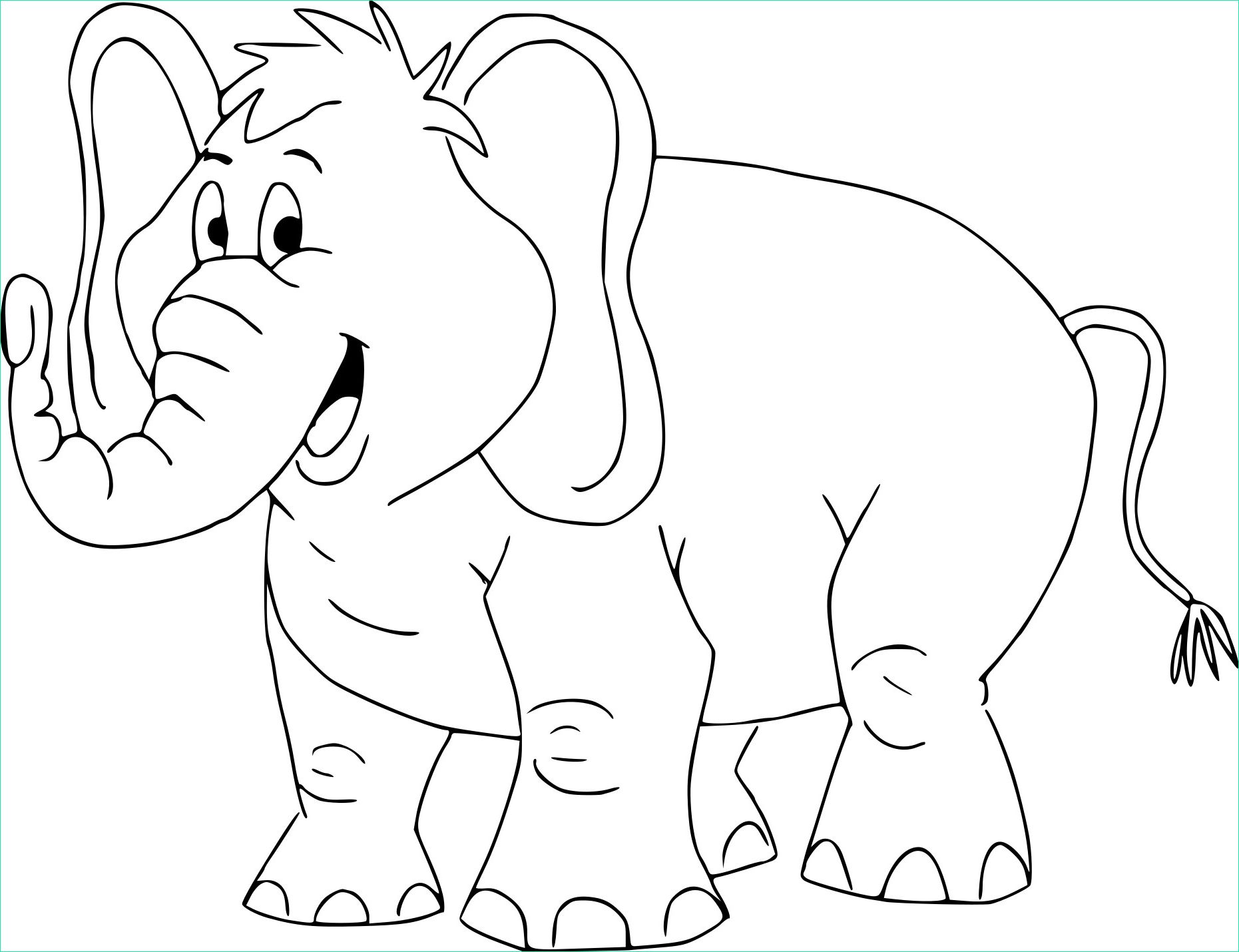 elephant rigolo