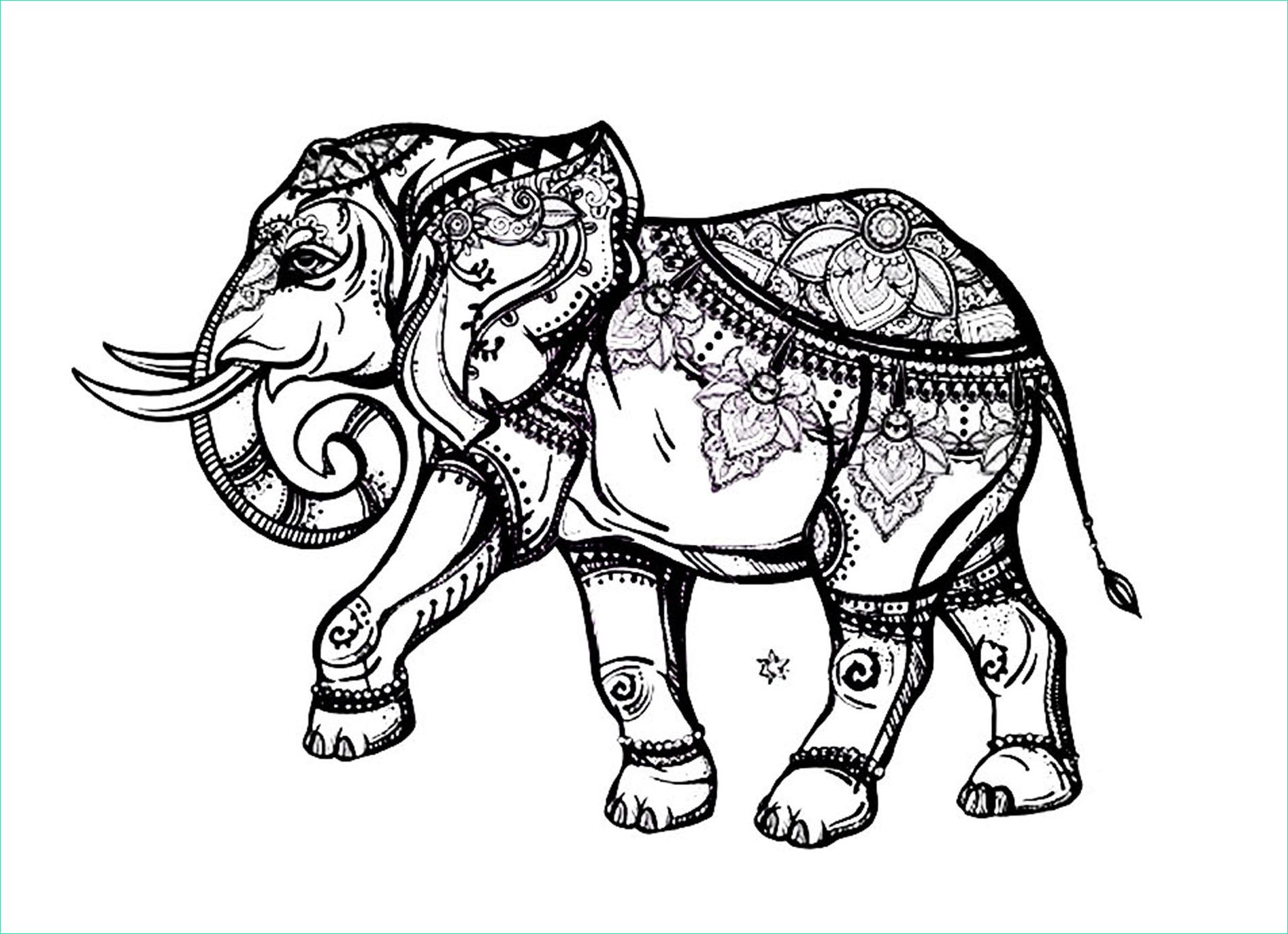 image=elephants coloriage elephant elegant 1