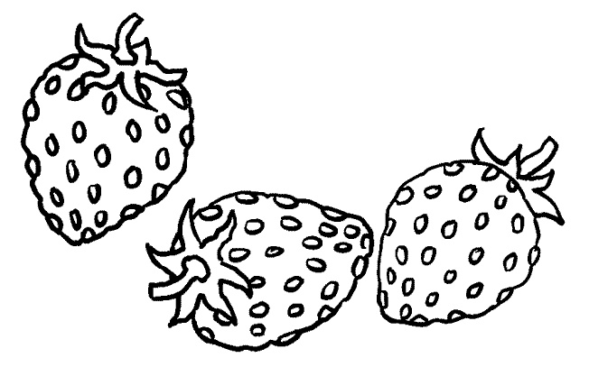 dessin de fraise 5