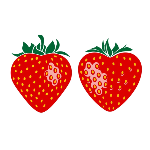 strawberry cuttable design 1