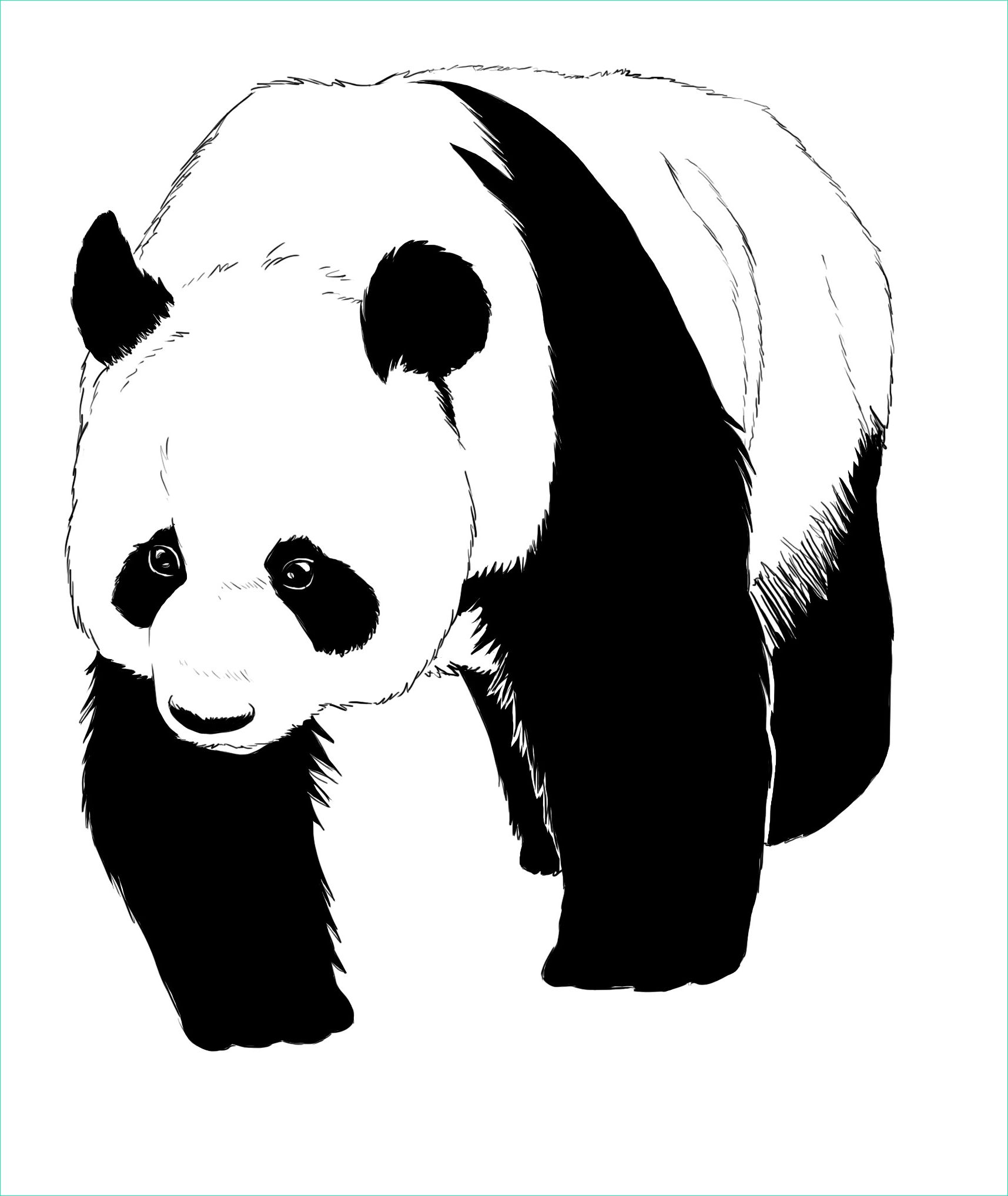 image de panda facile a dessiner