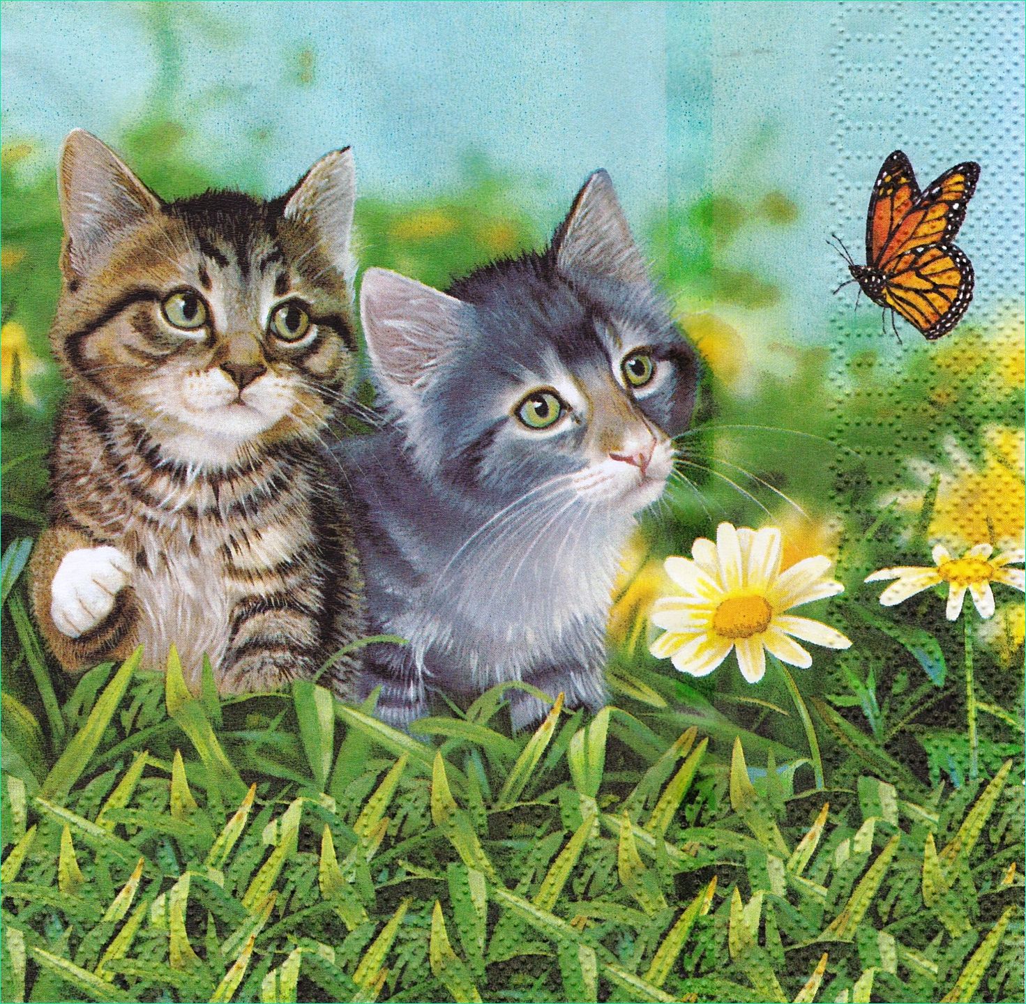 coloriage chat et papillon