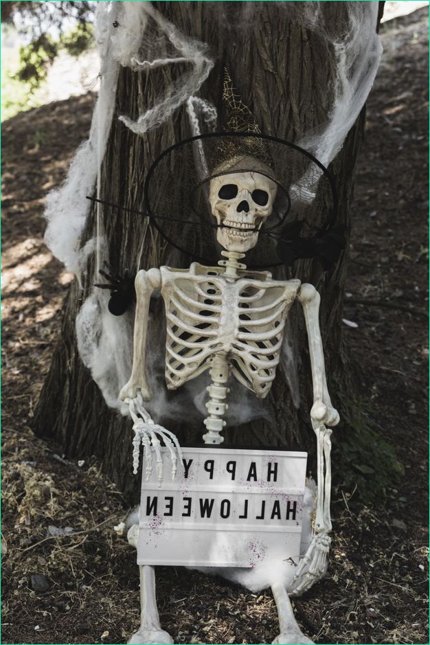 squelette dans sorcier chapeau tenue tablette halloween pres arbre