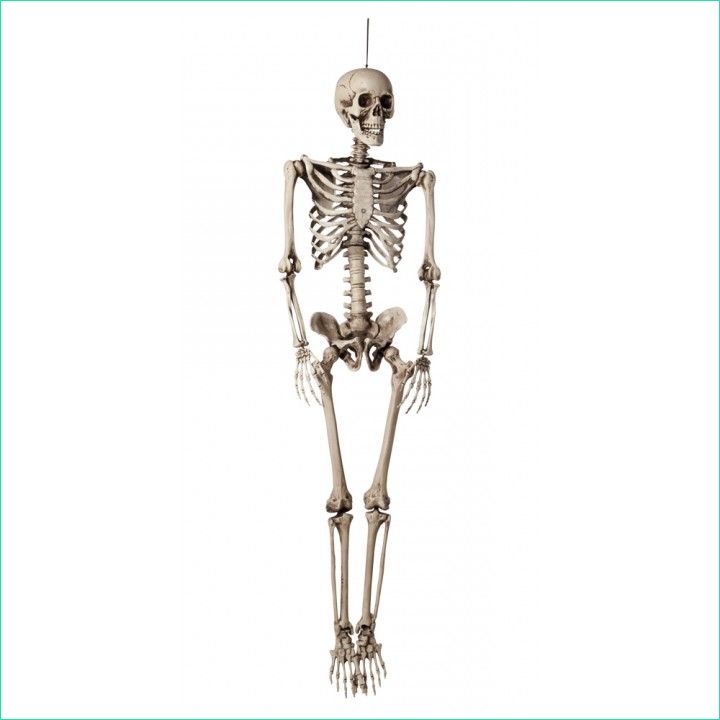 squelette en plastique halloween de 160 cm