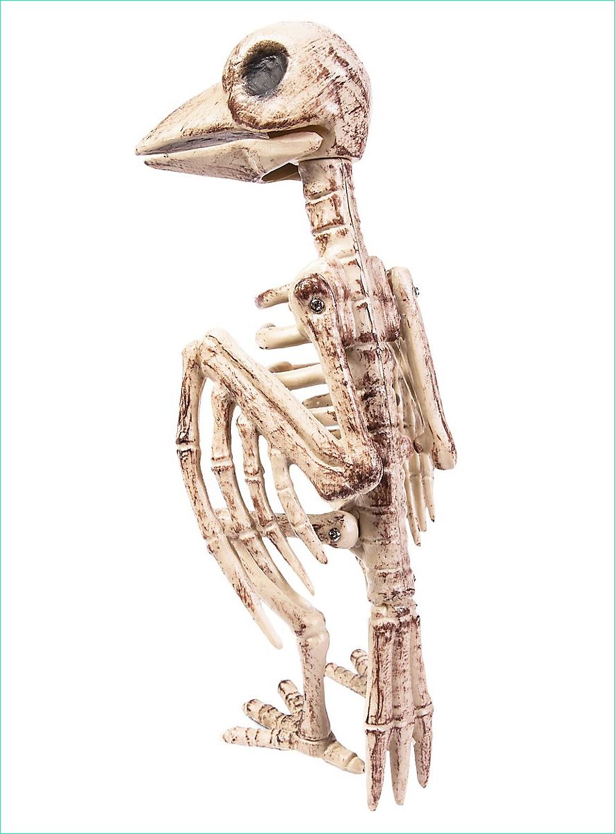 decoration dhalloween squelette doiseau