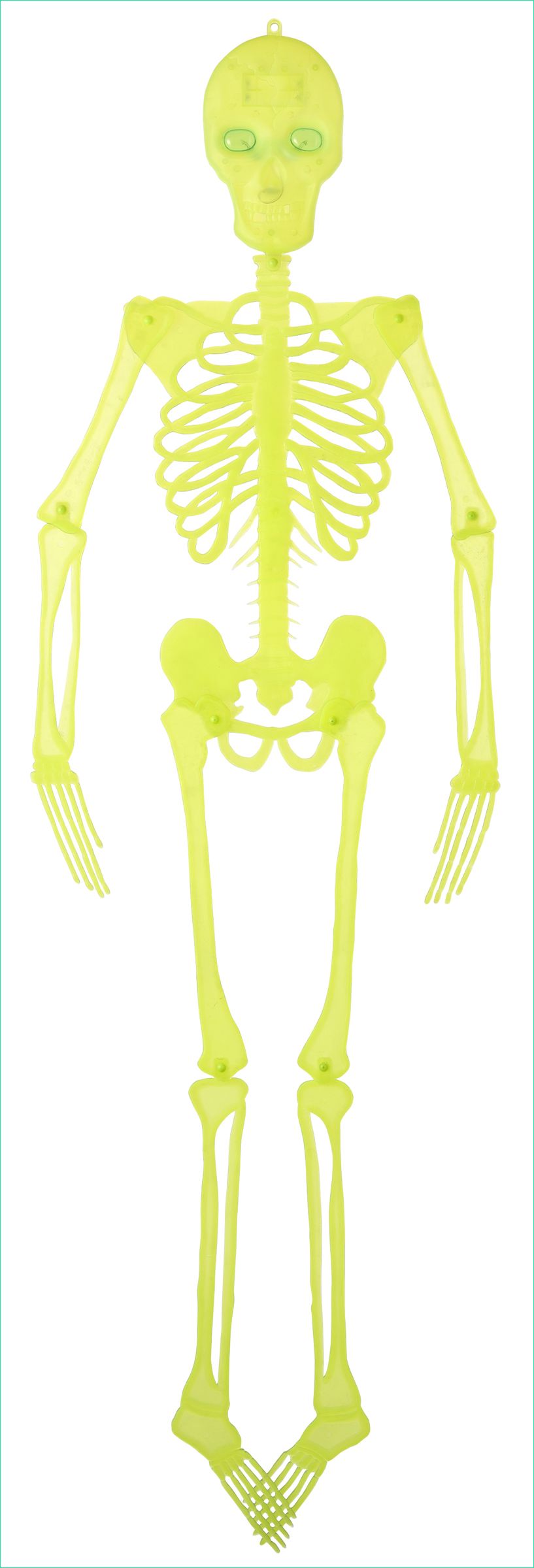 squelette halloween articule de 150m phosphorescent xml 518 588 602 8595