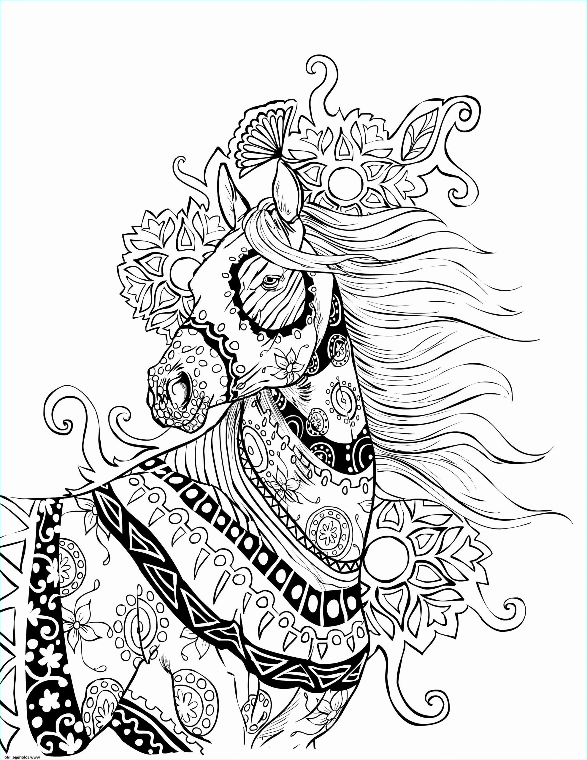 incroyable cheval mandala adulte coloriage