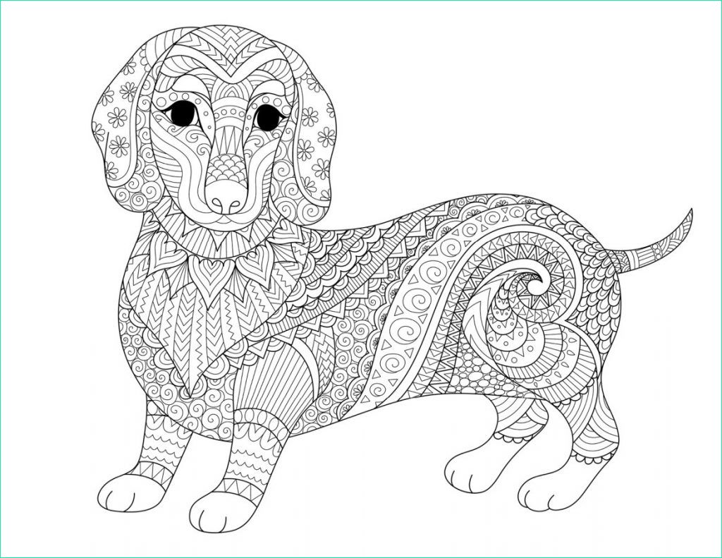 coloriage mandala chien beau stock coloriage de chien la therapie dessin par bimbimkha