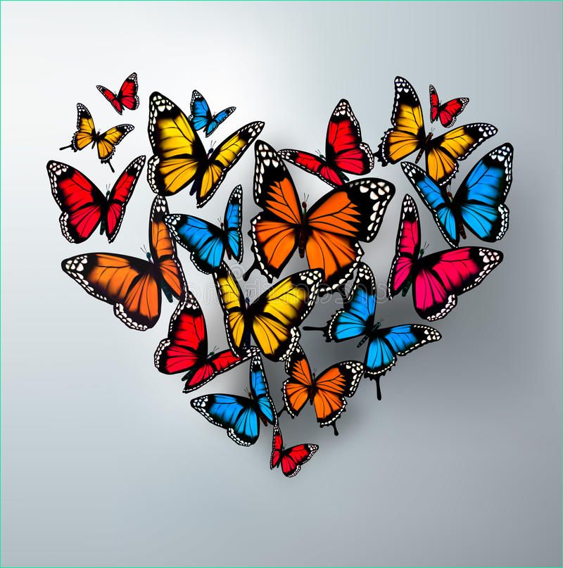 grand coeur des papillons livre coloriage les vacances jour mères conçoivent valentines éléments d décoratifs tirés image