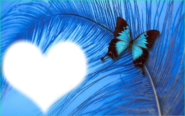 coeur papillon bleu