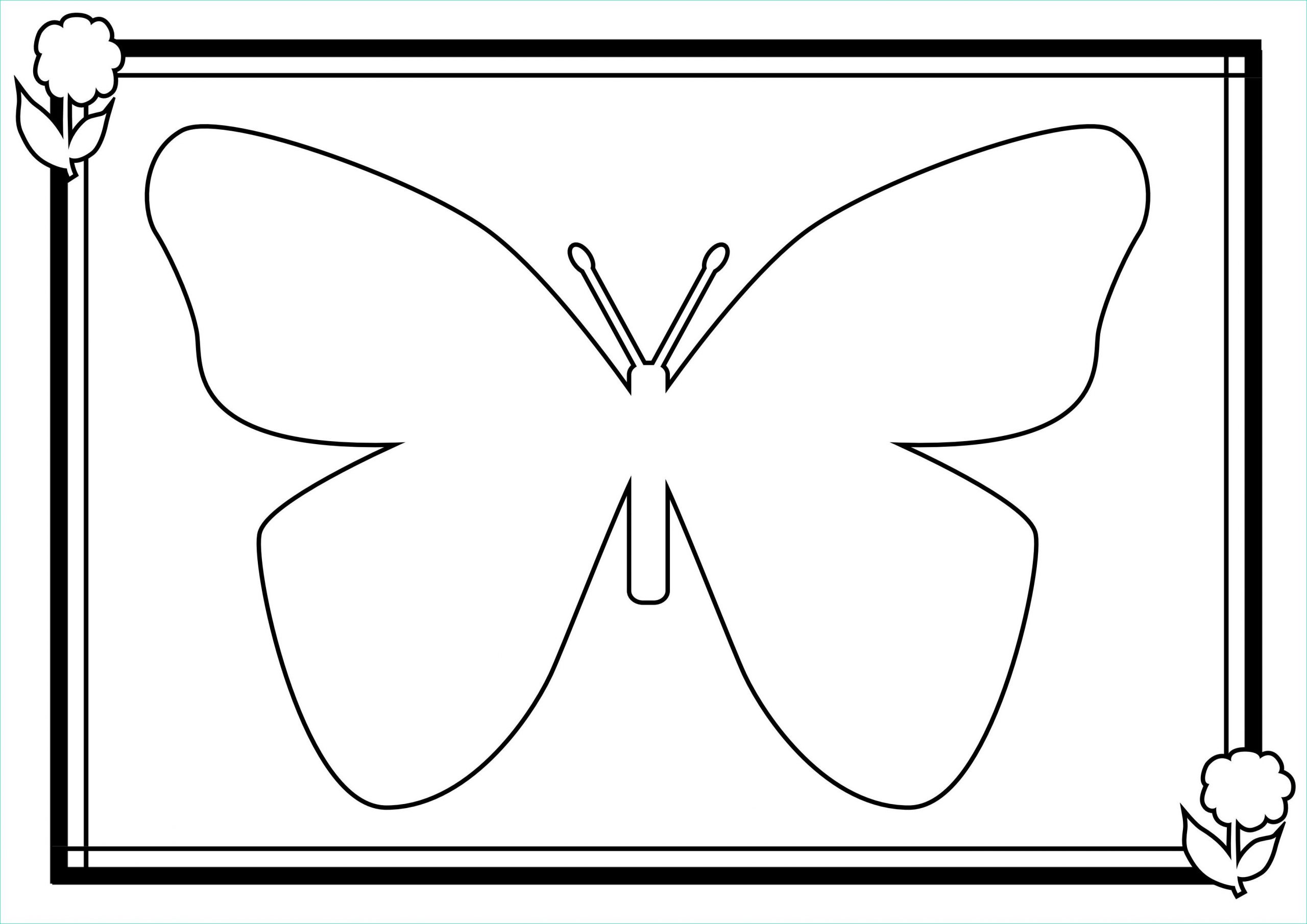 tendances pour modele dessin papillon