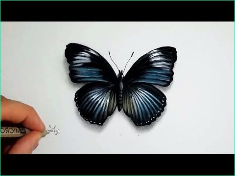 ment dessiner un papillon