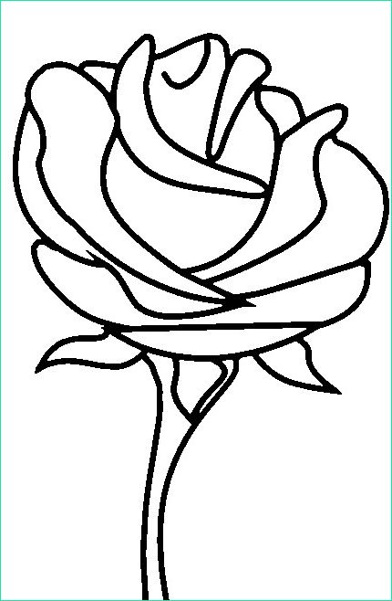 rose a dessiner facile