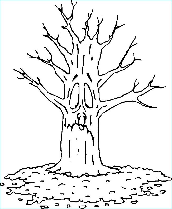 dessin arbre nu imprimer