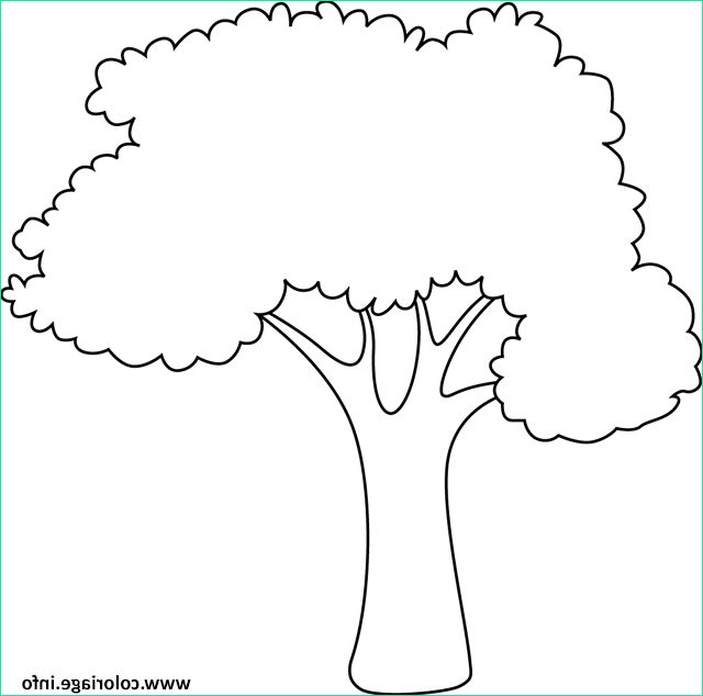 arbre 60 coloriage dessin