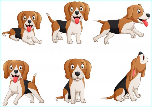 ensemble dessin anime chien beagle illustration