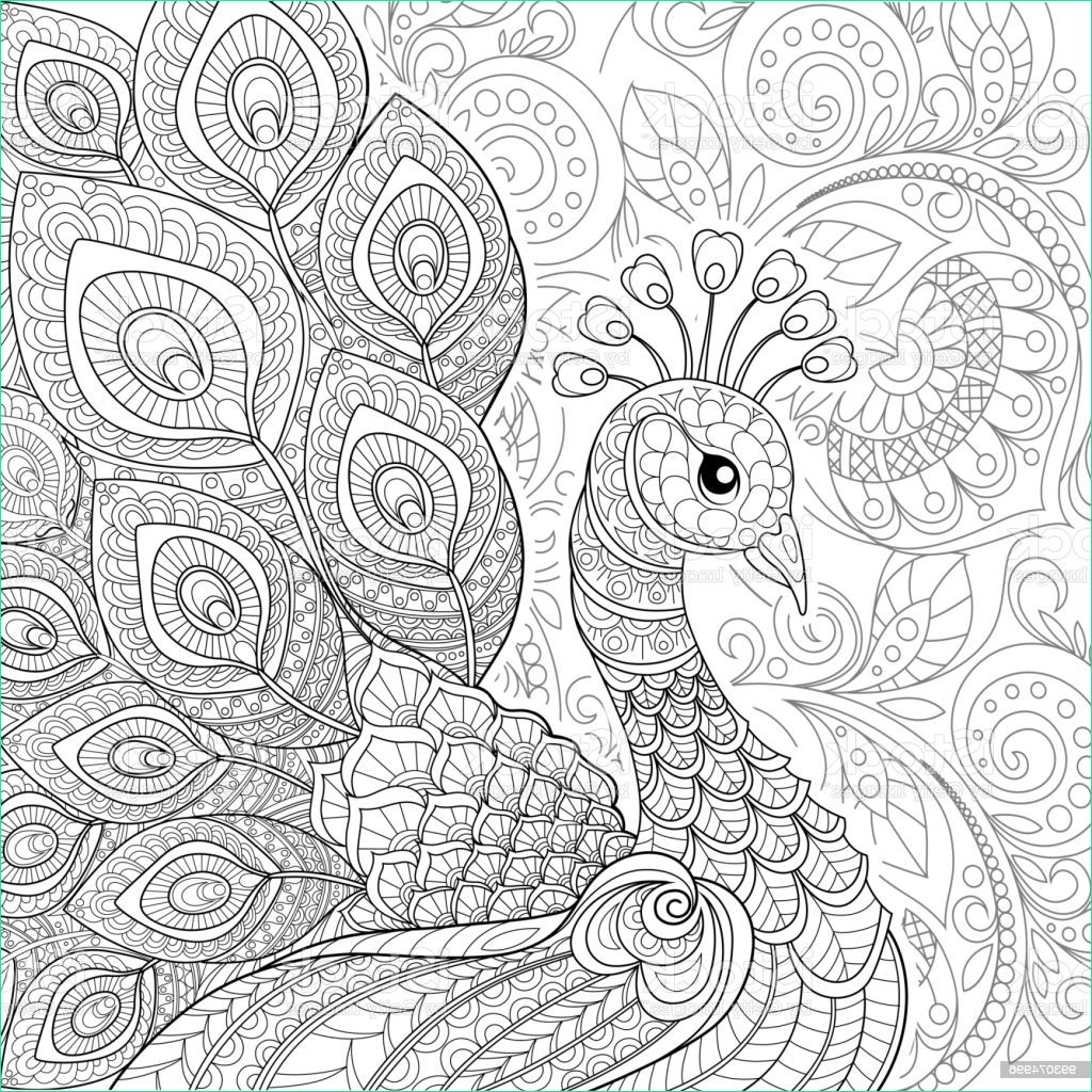 peacock in zentangle style adult antistress coloring page black and white hand drawn gm