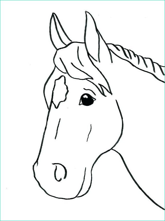 photo de cheval facile a dessiner