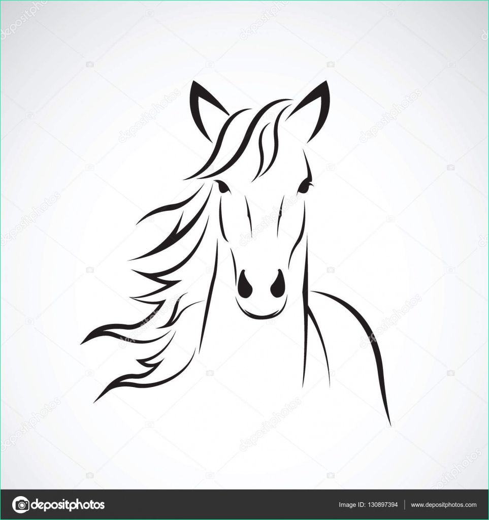 tete de cheval dessin facile cool photos tete cheval profil