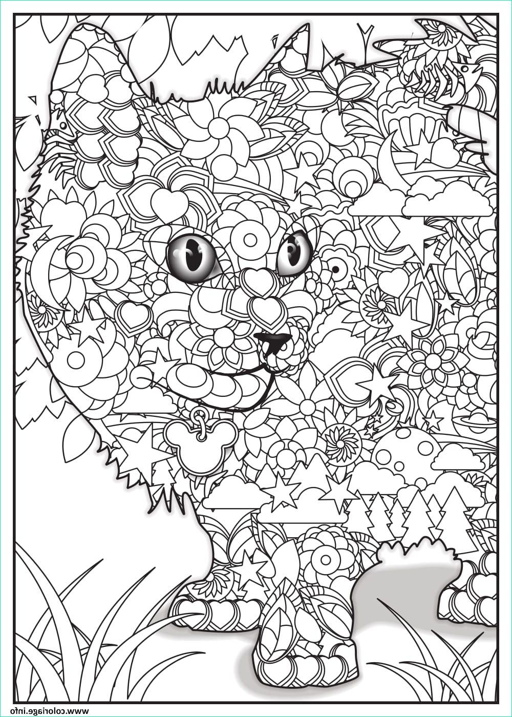 chat adulte animaux coloriage