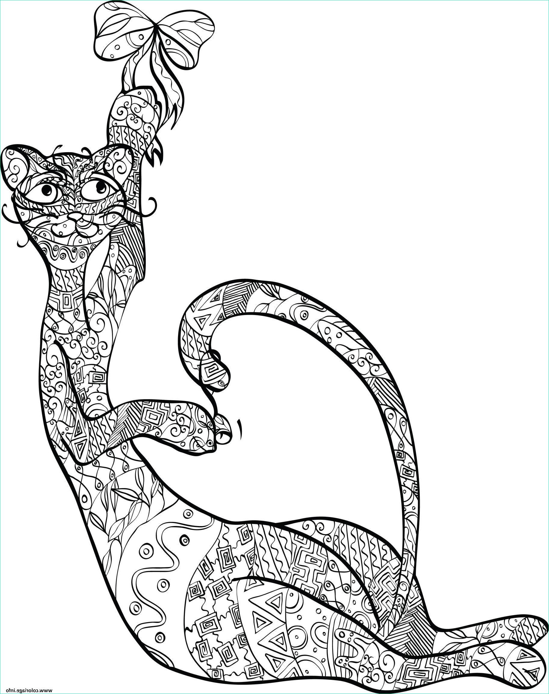 adulte anti stress animaux chat coloriage