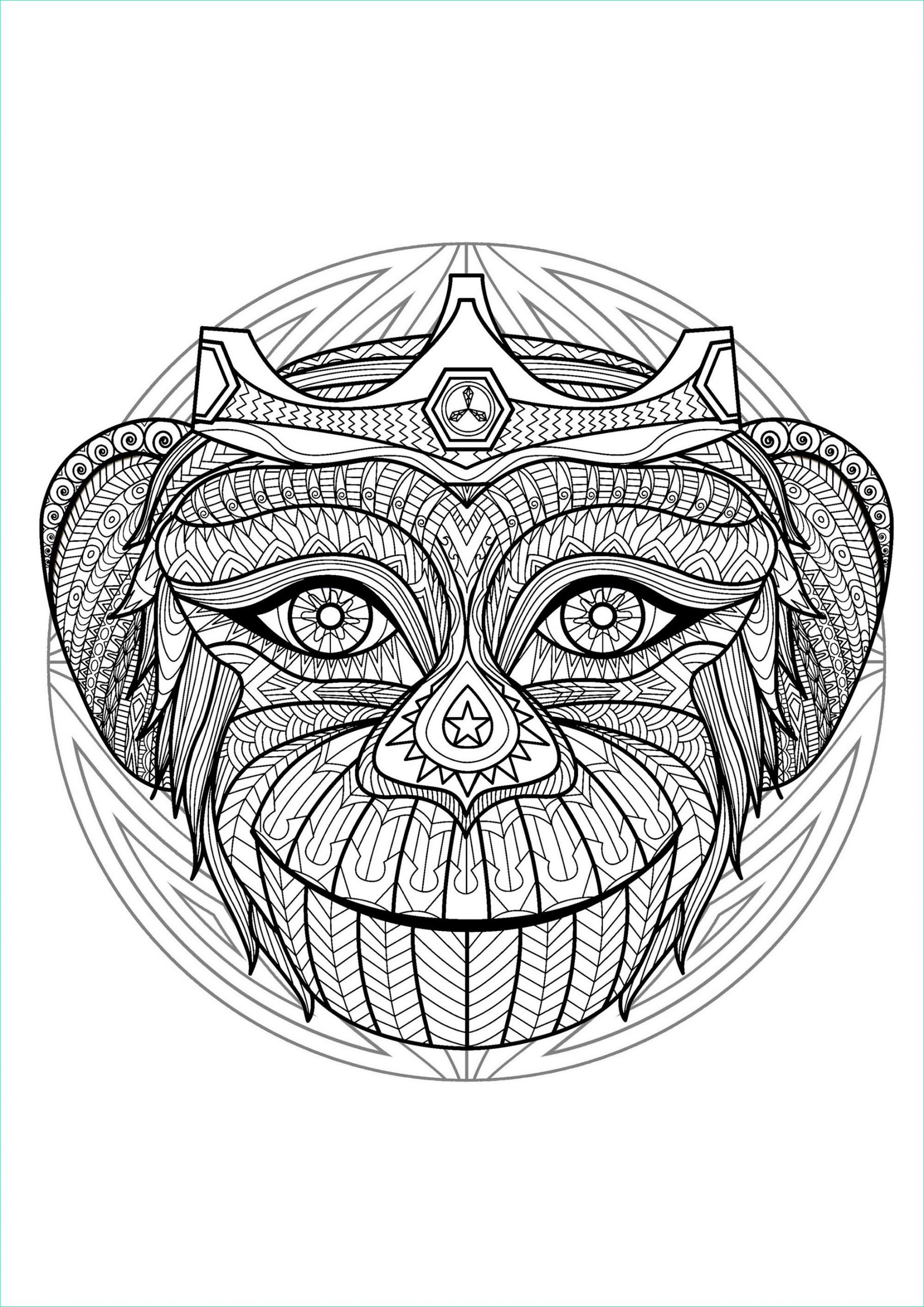 image=difficult mandala difficult monkey head 2 1
