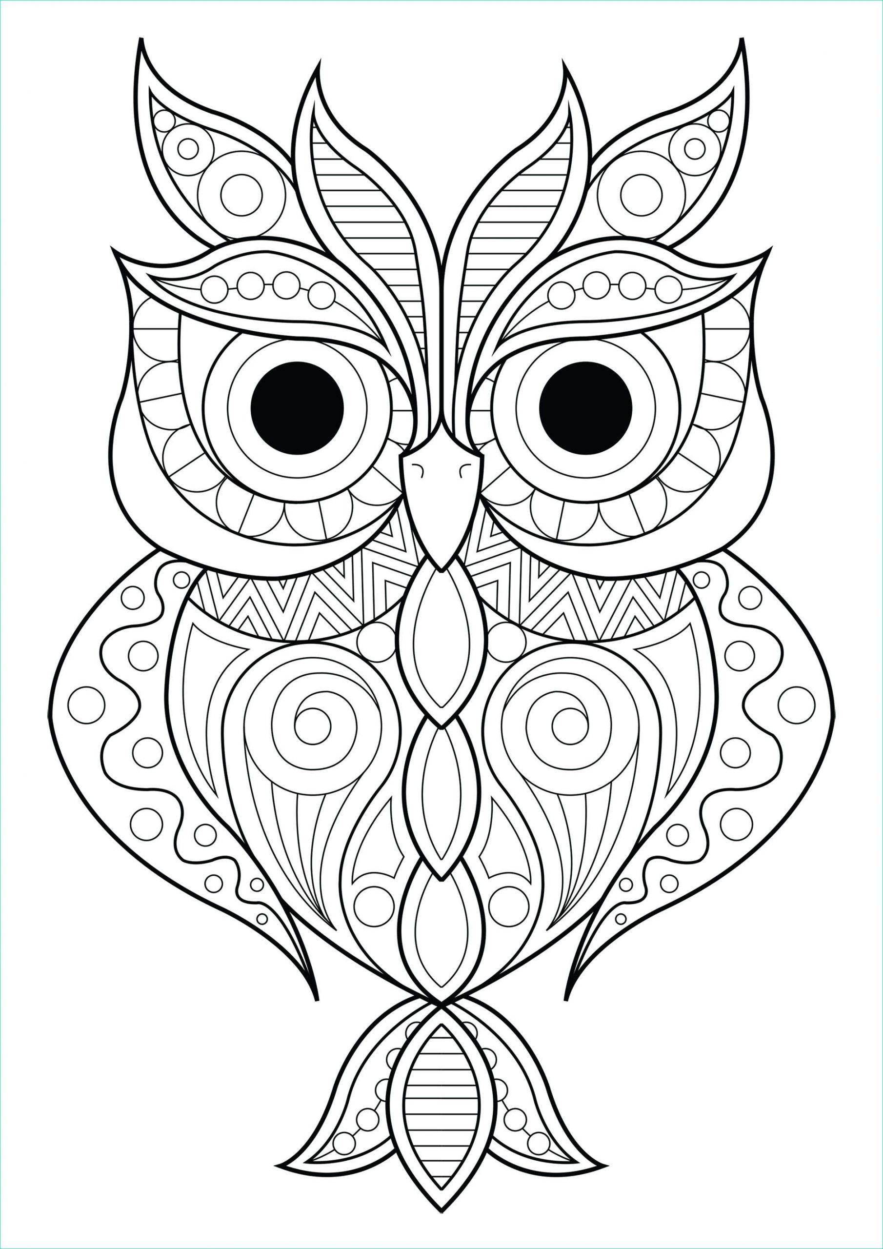Coloriage Facile Animaux Beau Galerie Hibou Aux Motifs Simples 2 Hiboux Coloriages