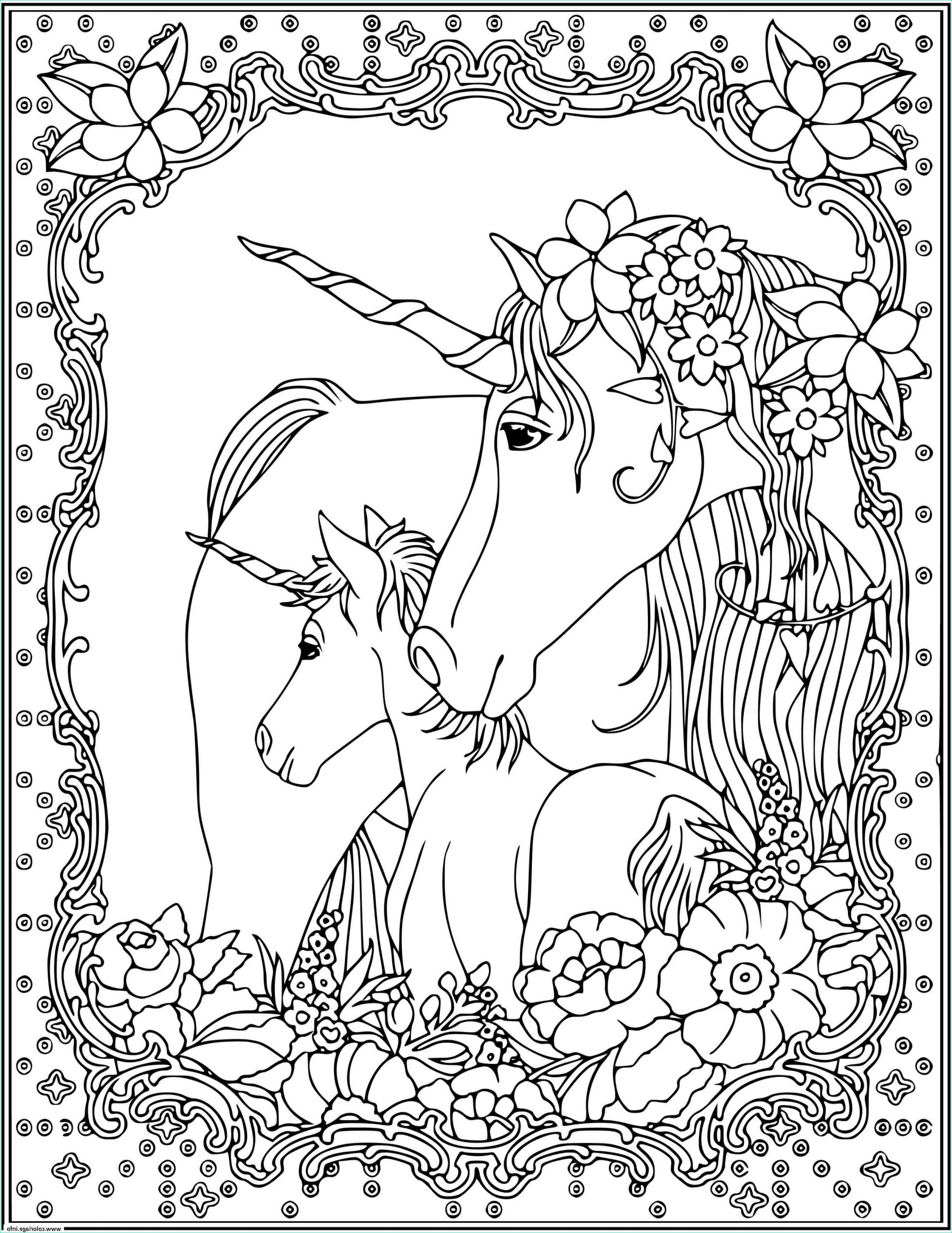 licorne unicorn adulte coloriage dessin