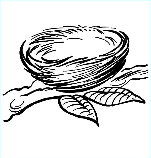 free coloring pages bird nest