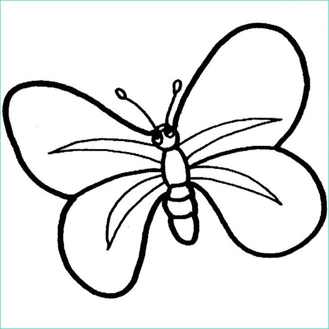 papillon maternelle en ligne