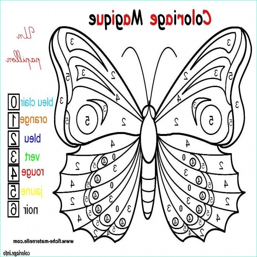 15 exclusif coloriage papillon facile collection