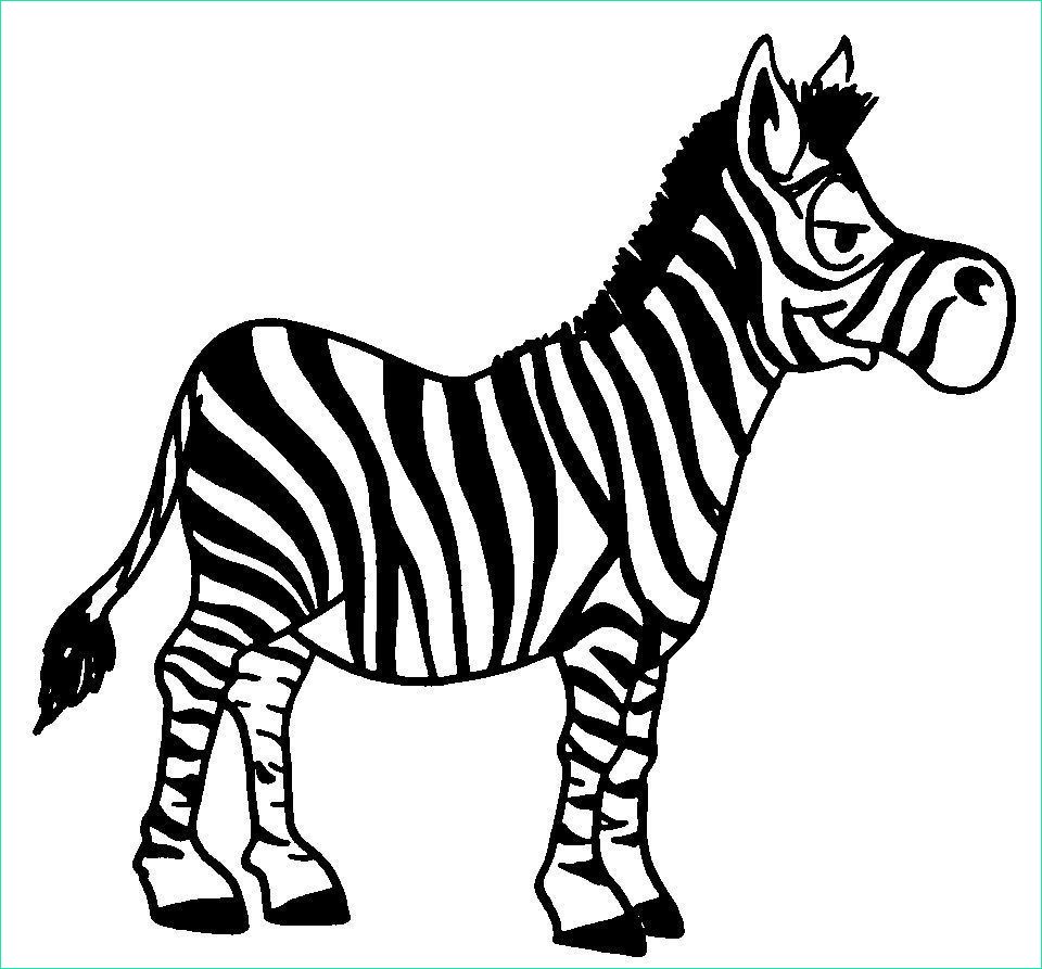 article dessin coloriage animal zebre