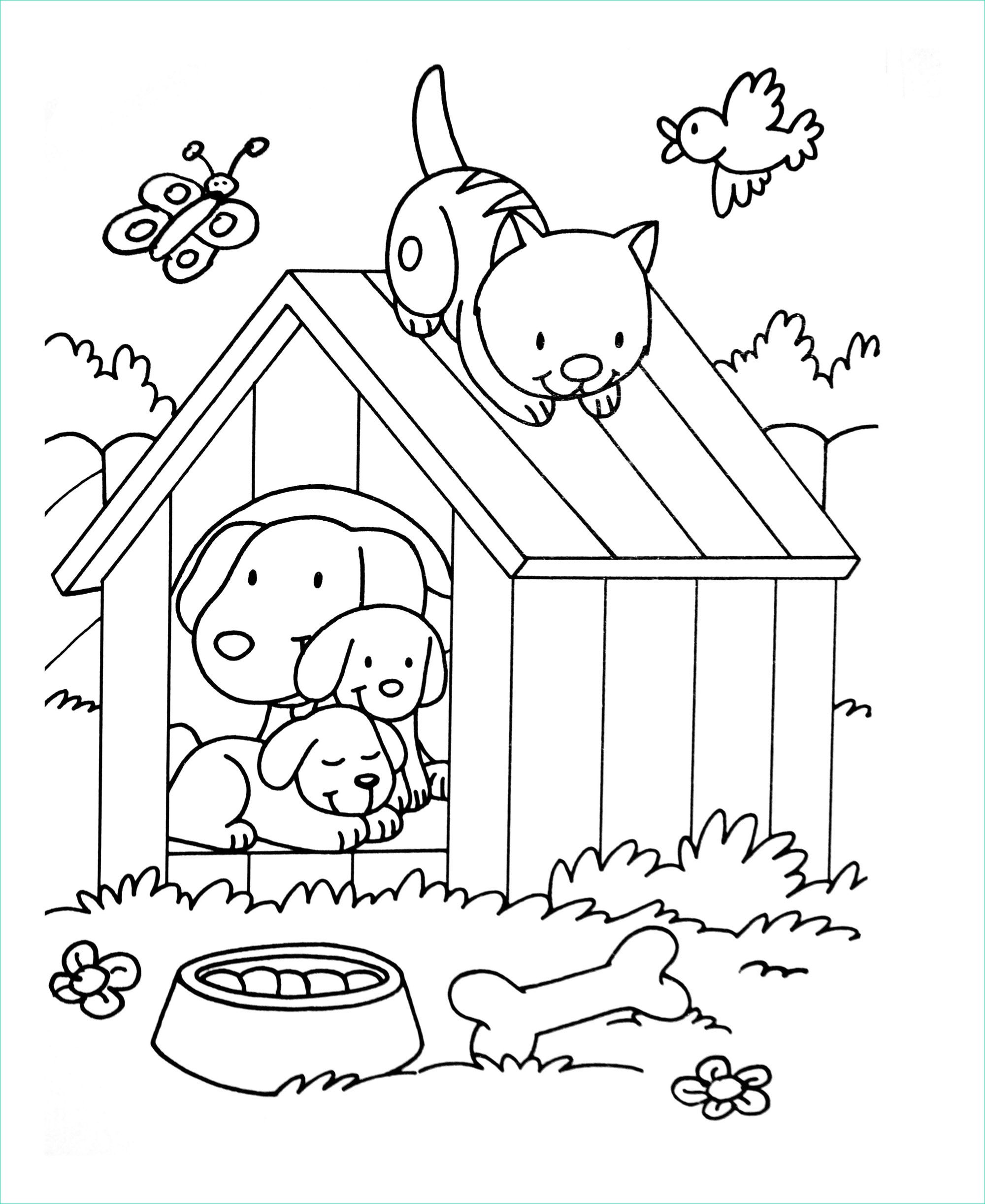 image=chats coloriage a imprimer chat 3 1