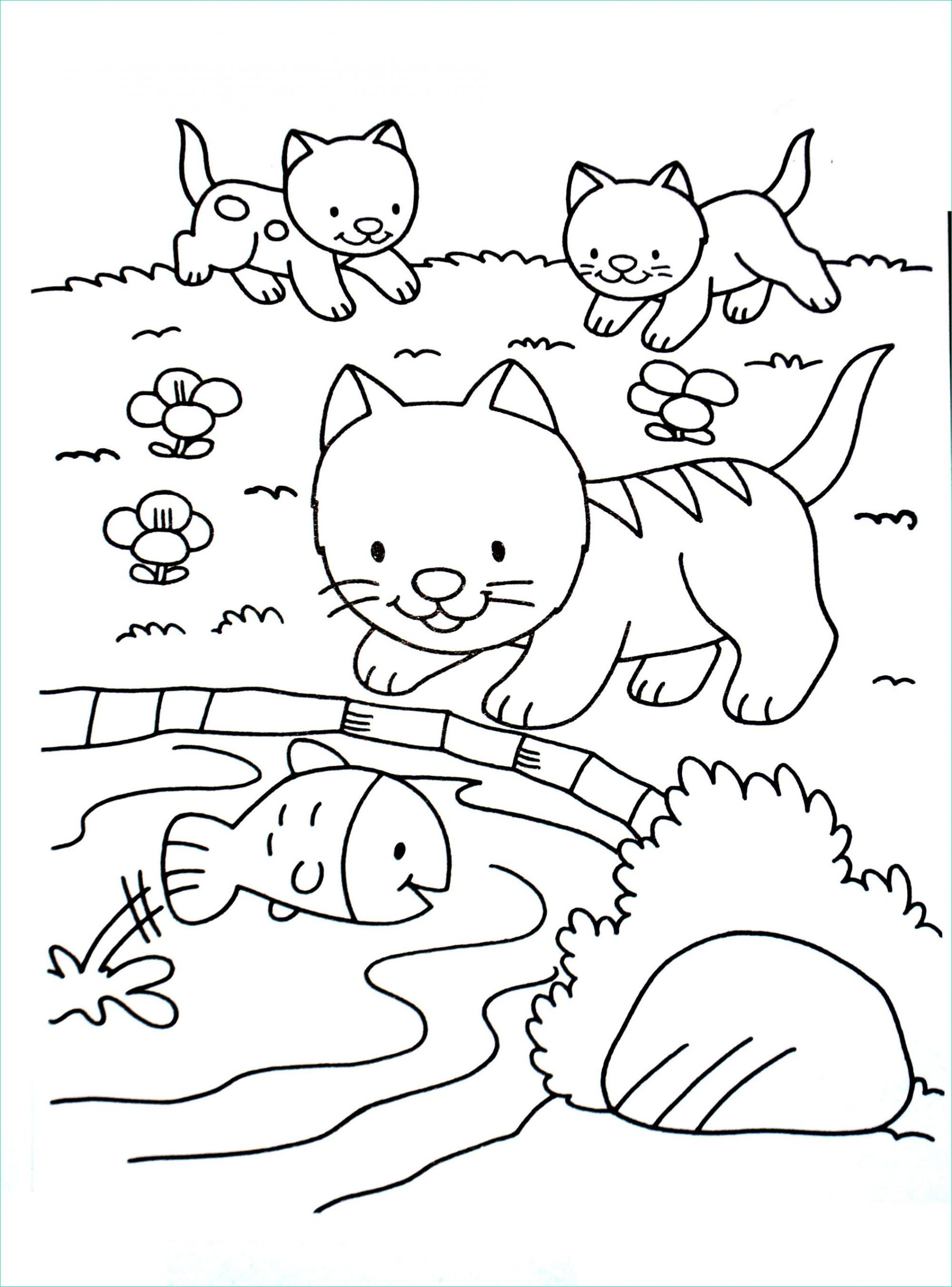 image=cats Coloring for kids cats 1
