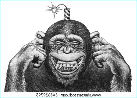 stock photo chimpanzee fingers covering her ears and expects cotton firecrackers pencil drawing illustration